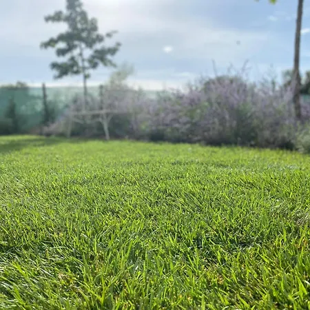 Konukevi Il Giardino Dei Sensi