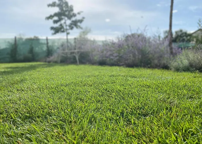Affittacamere Il Giardino Dei Sensi
